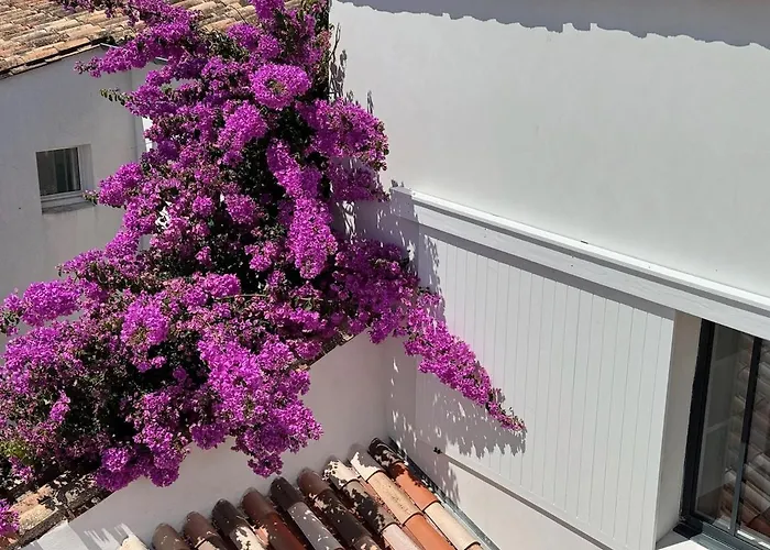 Maison - Vue - Clim Et Piscine - 6 Ch - 4 Sdb - Sauna - St Martin De Ré *