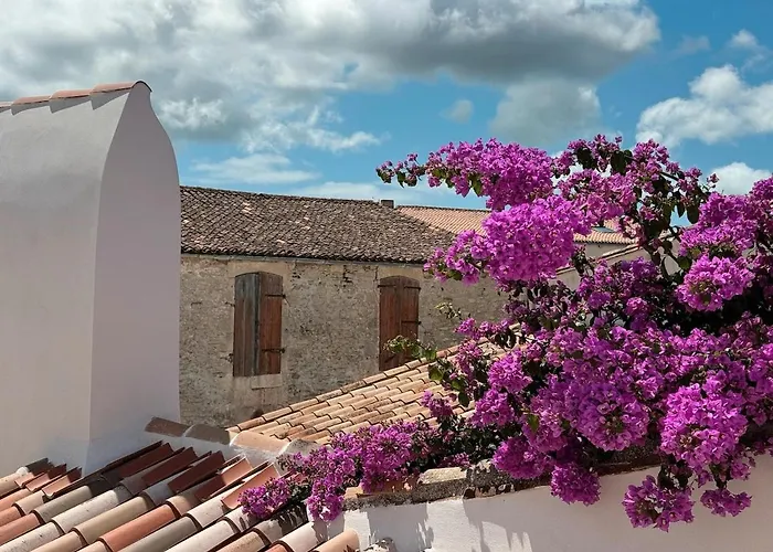 Maison - Vue - Clim Et Piscine - 6 Ch - 4 Sdb - Sauna - St Martin De Ré