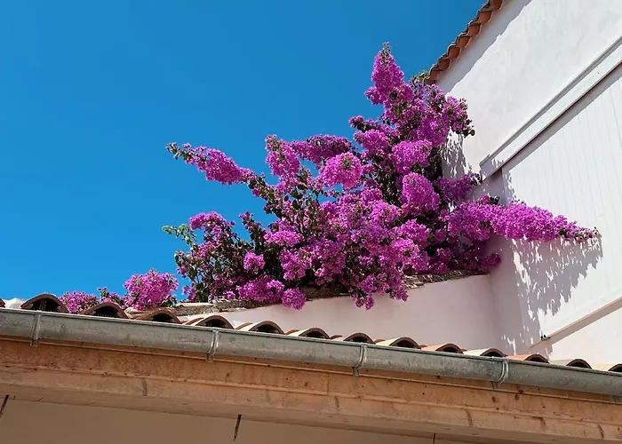 Maison - Vue - Clim Et Piscine - 6 Ch - 4 Sdb - Sauna - St Martin De Ré Villa *